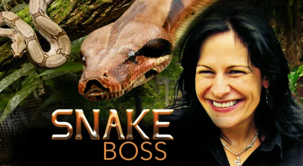 Snake Boss