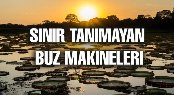 Pantanal Brezilya’nın Doğal Mucizesi
