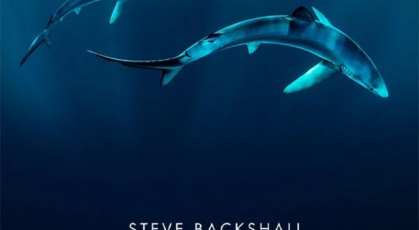 Steve Backshall - Squali del Nord Atlantico