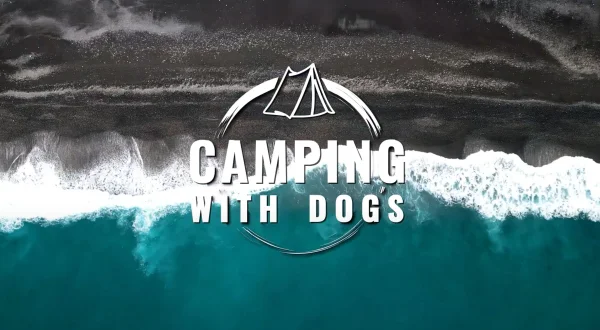 Camping With Dogs