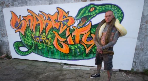 Hadi ve městě