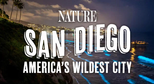 San Diego: America's Wildest City