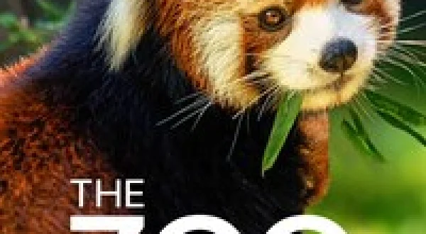 The Zoo