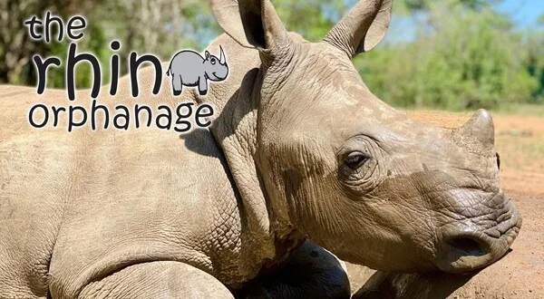 The Rhino Orphanage