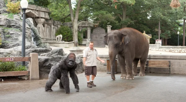 Der Zoowärter