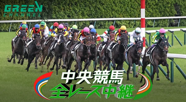 中央競馬全レース中継
