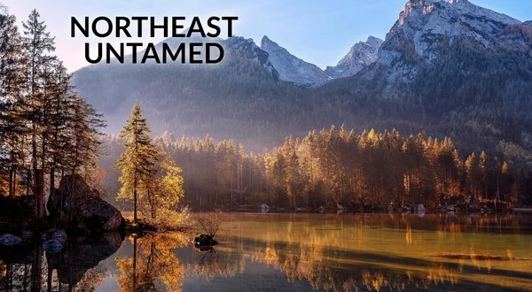 Northeast Untamed