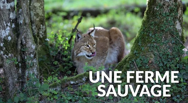 Une ferme sauvage