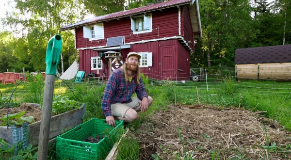 Hvor igen skulle tro, at nogen kunne bo: Sommer