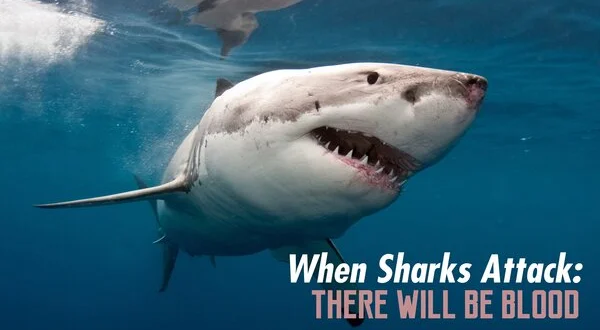 When Sharks Attack: There Will Be Blood