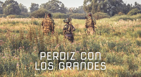 Perdiz con los grandes