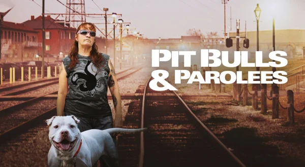 Pitbulls og prøveløsladte