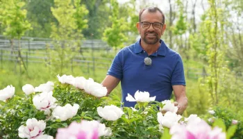 Natur im Garten