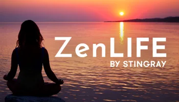 Tu Zen de la Noche