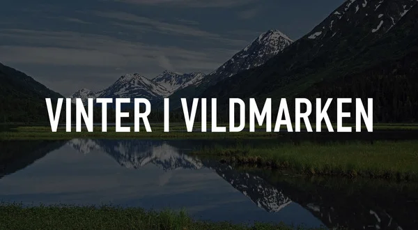 Vinter I Vildmarken