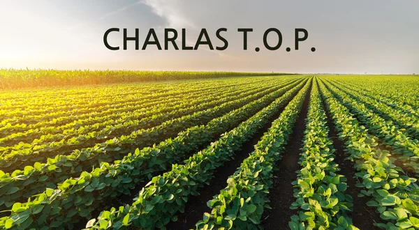 Charlas T.O.P.