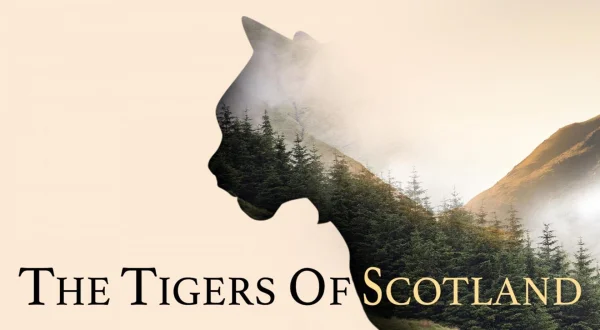 The Tigers From Scotland