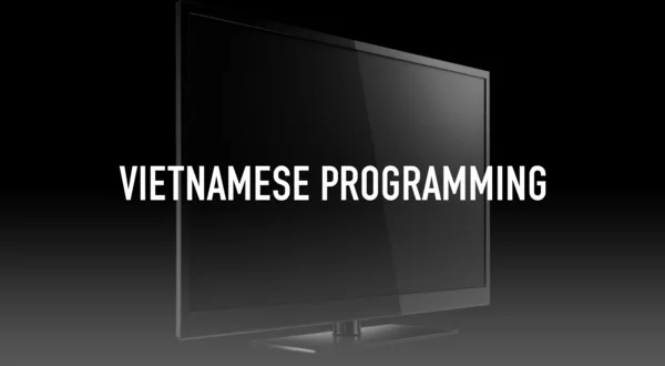 Vietnamese Programming
