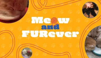 TPC Meow and FURever