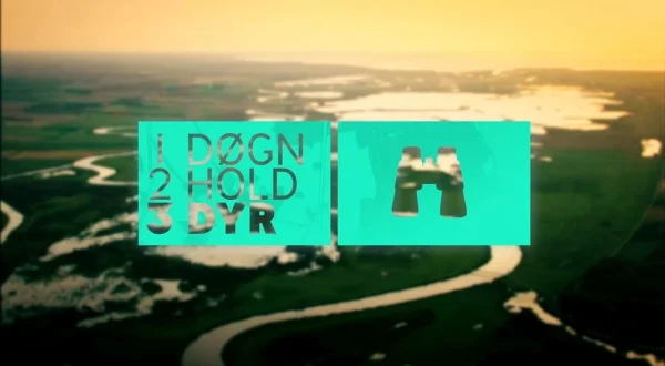 1 døgn, 2 hold, 3 dyr