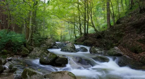 Die Schweiz von oben - Drohnenaufnahmen zeigen die Schweiz aus einer neuen Perspektive