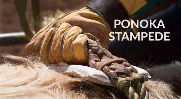 Ponoka Stampede