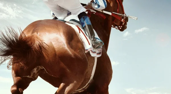 RIDE FEI Originals