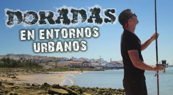 Doradas en entornos urbanos