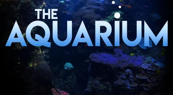 The Aquarium
