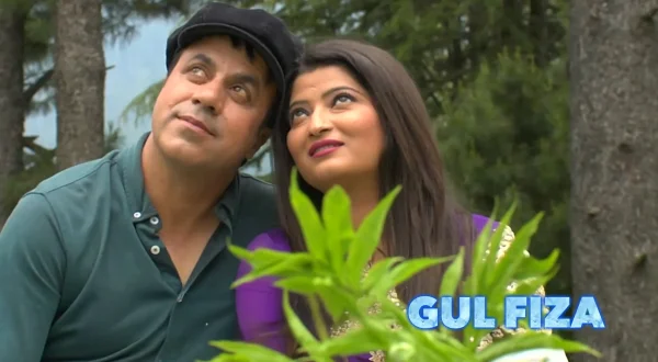 Gulfiza