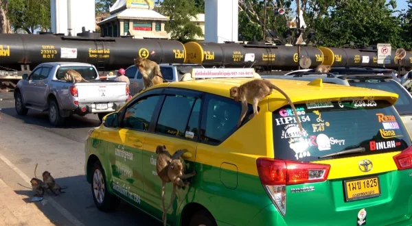 Traumorte – Thailand von Nord nach Süd