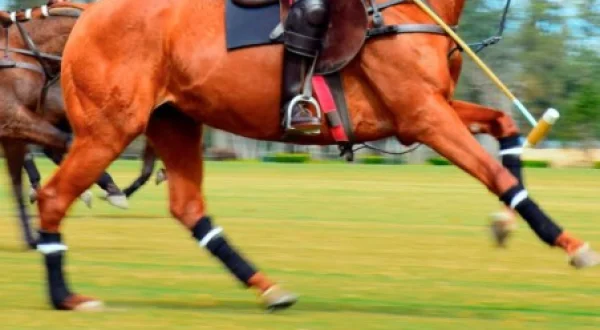 Polo Rider Cup Competition 2021