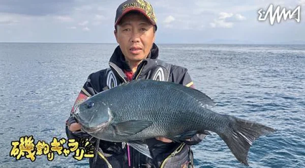 磯釣りギャラリー シーズン到来！上五島のグレ