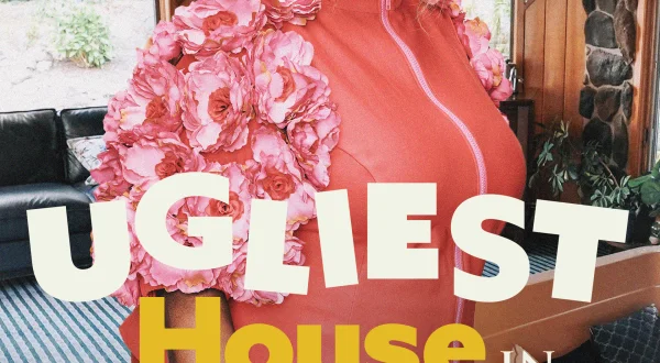 Ugliest House in America