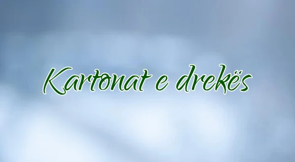 Kartonat e drekës