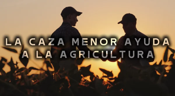 La caza menor ayuda a la agricultura
