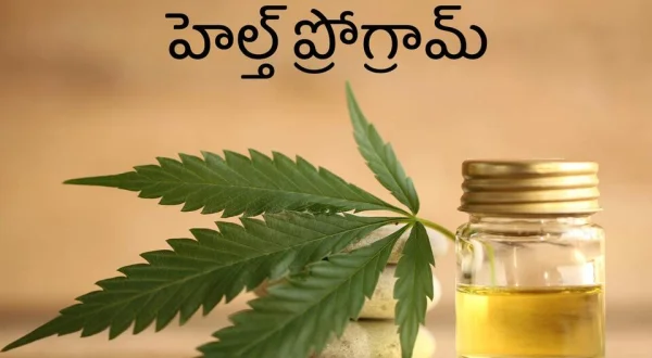 Health Programme