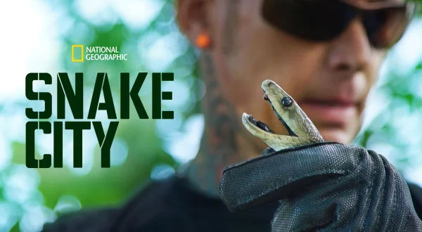 Snakes in the City