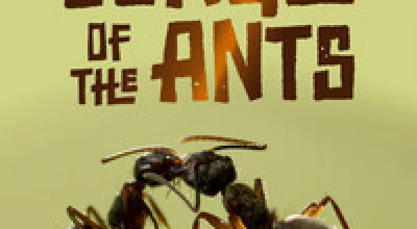 Jungle of the Ants