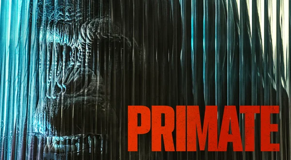 Primate