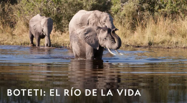 Boteti: el río de la vida