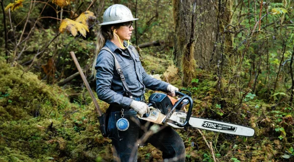 The Last Woodsmen