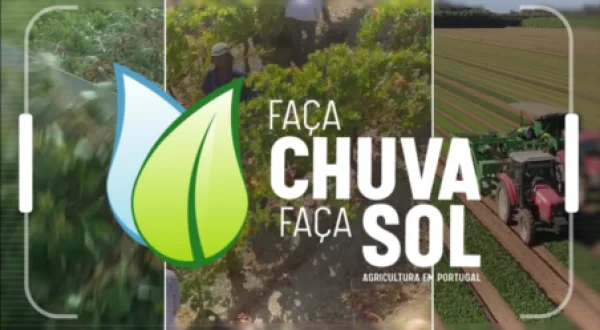 Faça Chuva Faça Sol