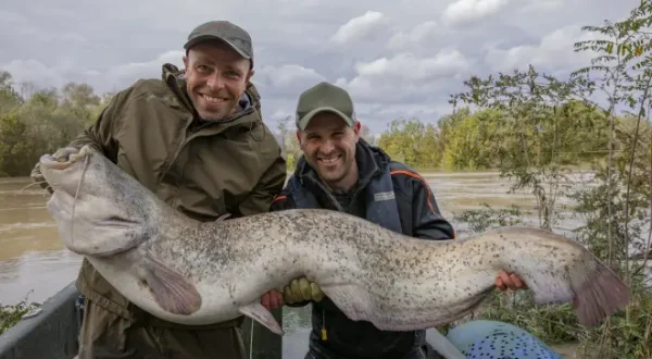 Des stars et la pêche