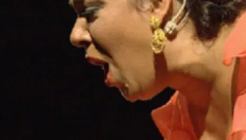 Lo Flamenco