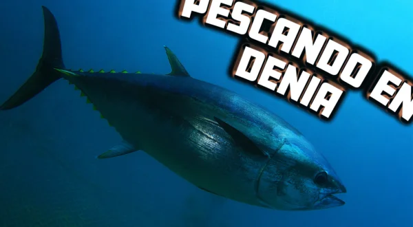 Pescando En Denia