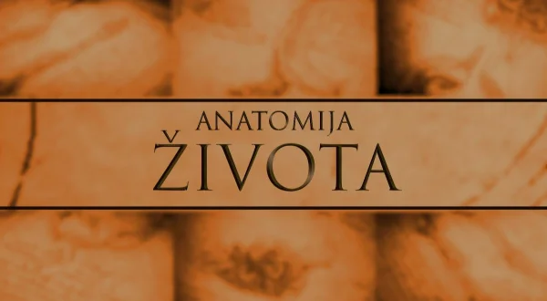 Anatomija života