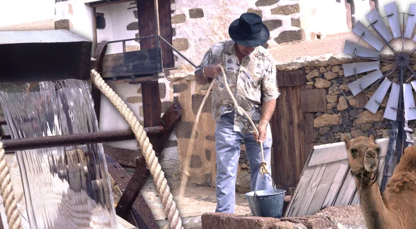 El agua en una isla sin lluvia. Técnicas para su búsqueda, uso de camellos y los riegos