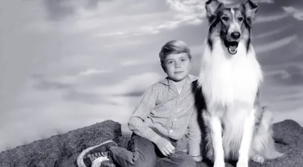 Lassie