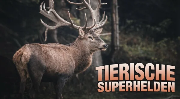 Tierische Superhelden